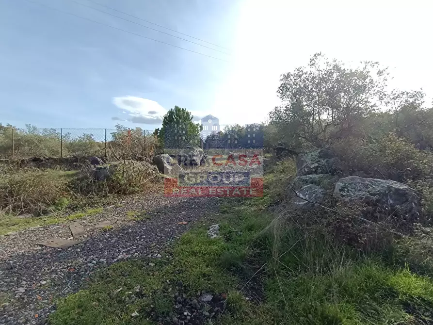 Immagine 24 di Terreno agricolo in vendita  in Contrada Arrigo a Linguaglossa