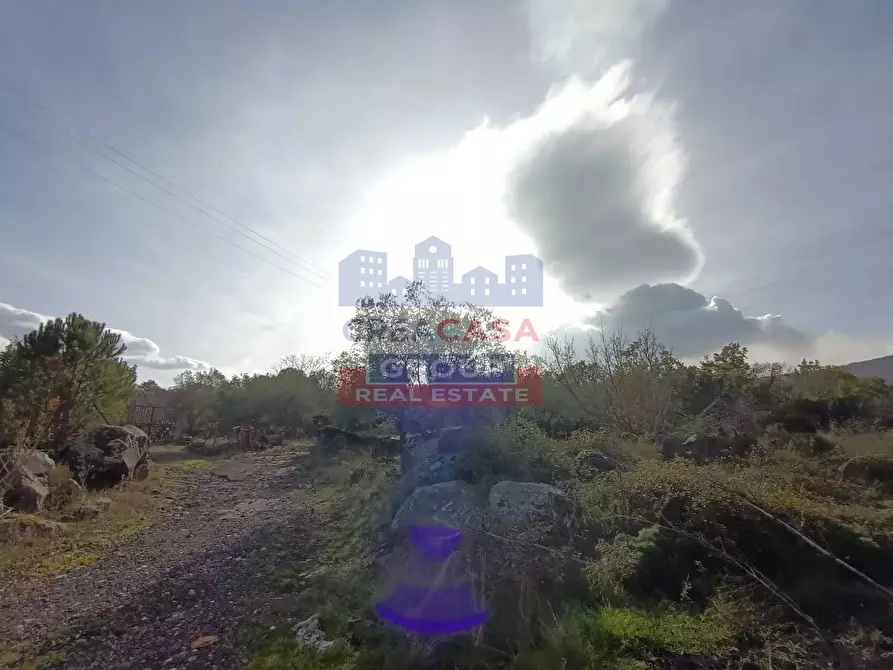 Immagine 26 di Terreno agricolo in vendita  in Contrada Arrigo a Linguaglossa