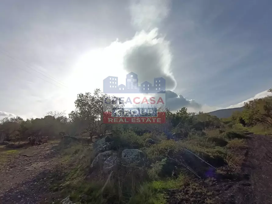 Immagine 27 di Terreno agricolo in vendita  in Contrada Arrigo a Linguaglossa