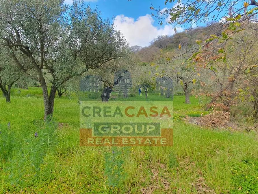 Immagine 2 di Terreno agricolo in vendita  in LORMO a Mongiuffi Melia