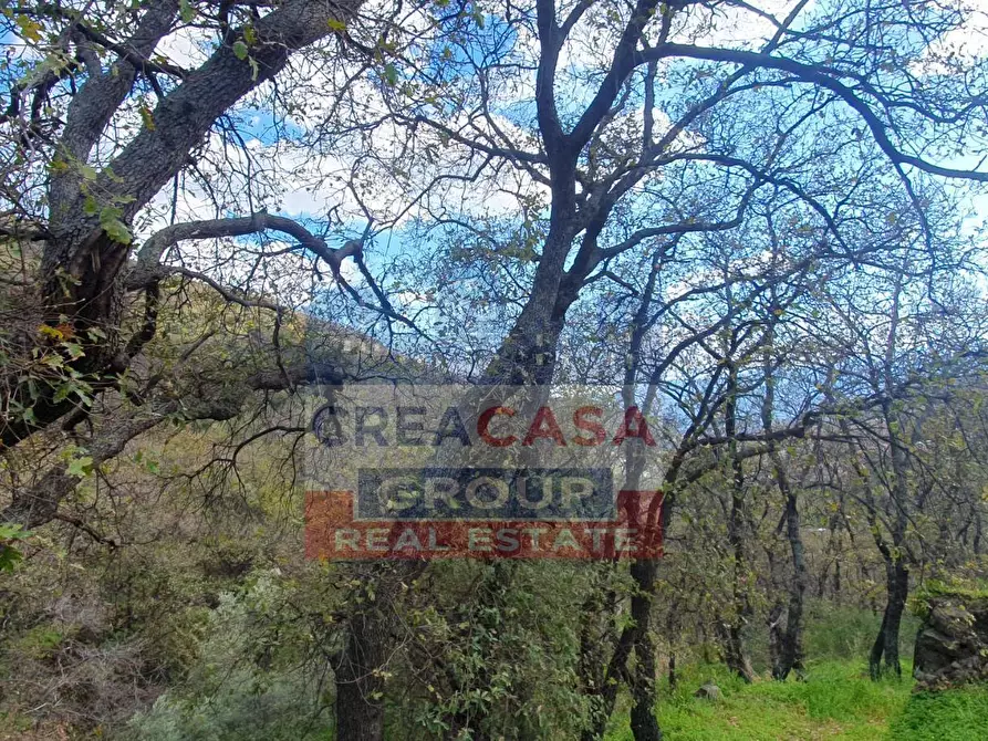 Immagine 3 di Terreno agricolo in vendita  in LORMO a Mongiuffi Melia