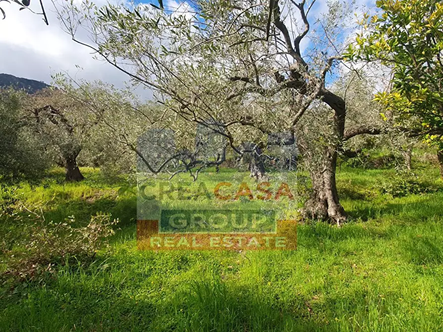 Immagine 4 di Terreno agricolo in vendita  in LORMO a Mongiuffi Melia