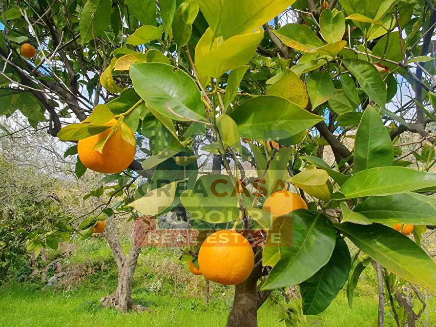 Immagine 6 di Terreno agricolo in vendita  in LORMO a Mongiuffi Melia