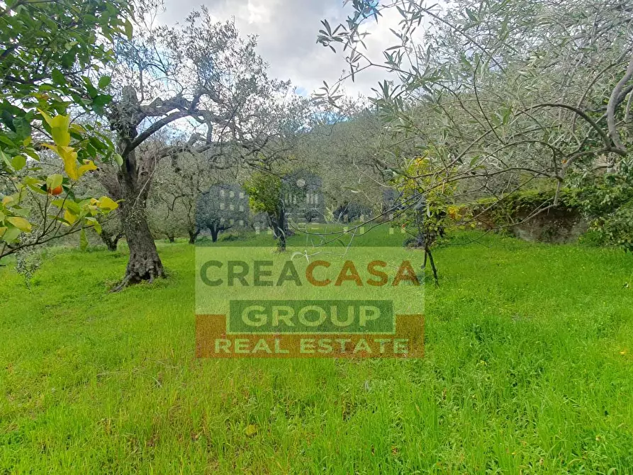 Immagine 7 di Terreno agricolo in vendita  in LORMO a Mongiuffi Melia