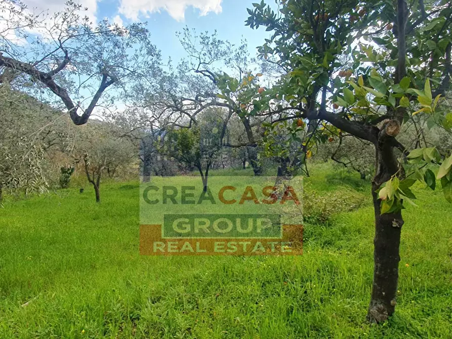 Immagine 8 di Terreno agricolo in vendita  in LORMO a Mongiuffi Melia