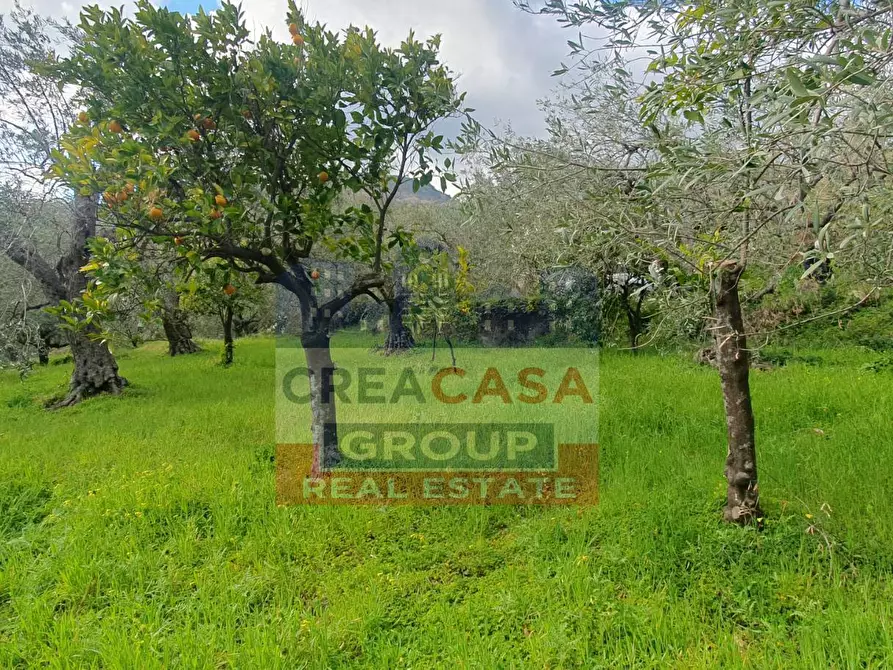 Immagine 9 di Terreno agricolo in vendita  in LORMO a Mongiuffi Melia