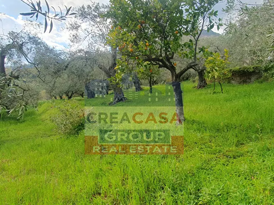 Immagine 10 di Terreno agricolo in vendita  in LORMO a Mongiuffi Melia