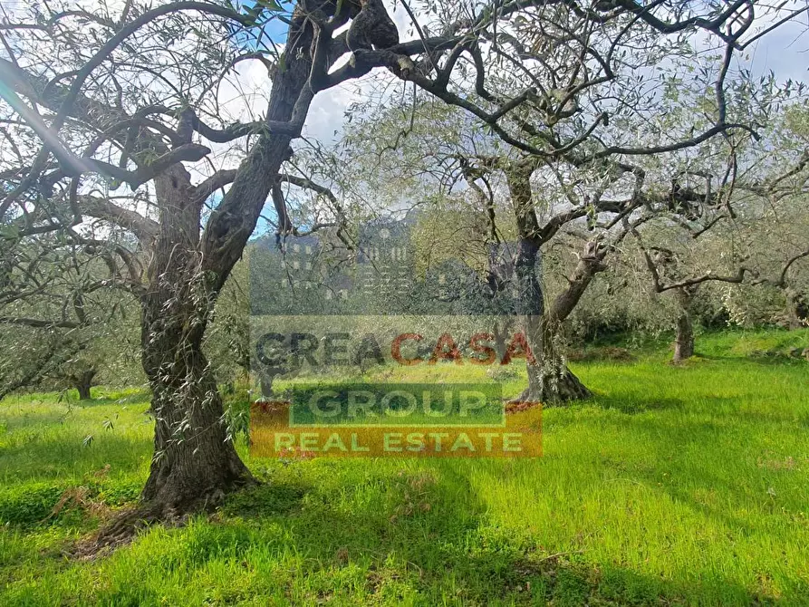 Immagine 12 di Terreno agricolo in vendita  in LORMO a Mongiuffi Melia