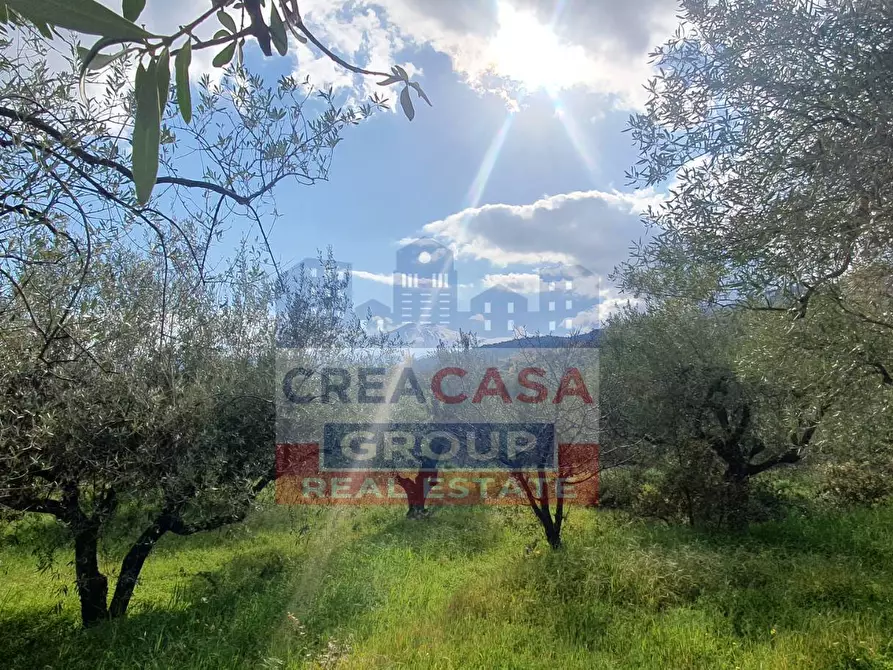Immagine 13 di Terreno agricolo in vendita  in LORMO a Mongiuffi Melia