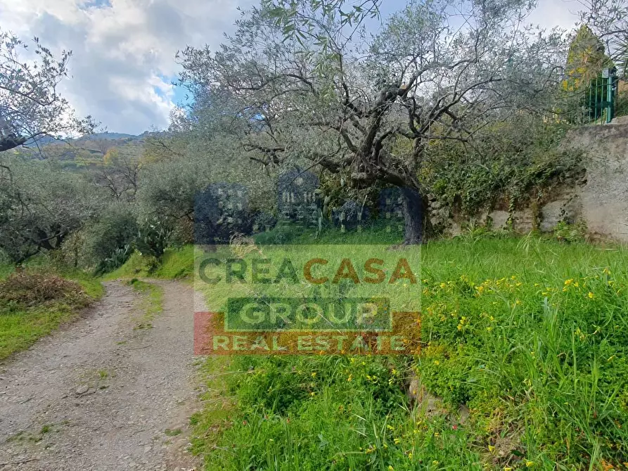 Immagine 14 di Terreno agricolo in vendita  in LORMO a Mongiuffi Melia