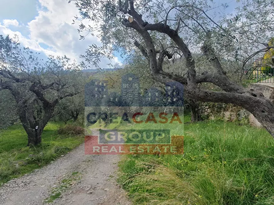 Immagine 15 di Terreno agricolo in vendita  in LORMO a Mongiuffi Melia