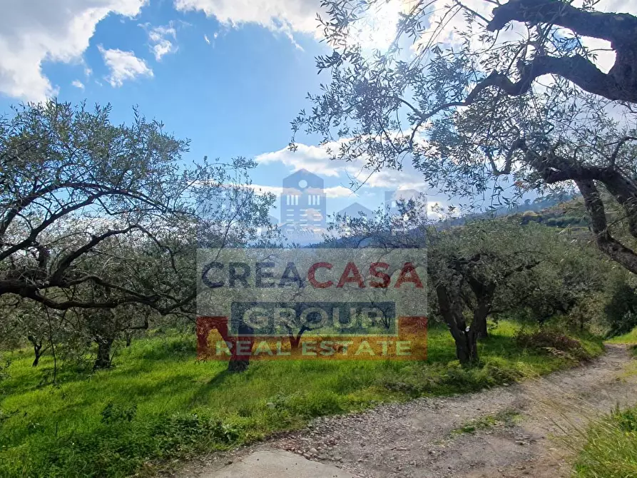 Immagine 16 di Terreno agricolo in vendita  in LORMO a Mongiuffi Melia