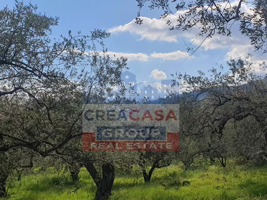 Immagine 17 di Terreno agricolo in vendita  in LORMO a Mongiuffi Melia