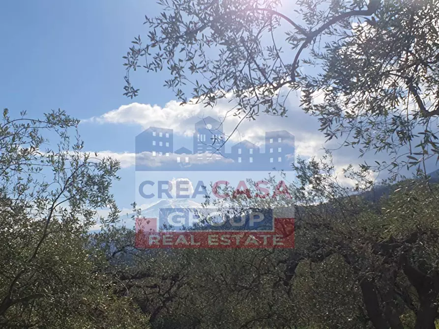 Immagine 18 di Terreno agricolo in vendita  in LORMO a Mongiuffi Melia