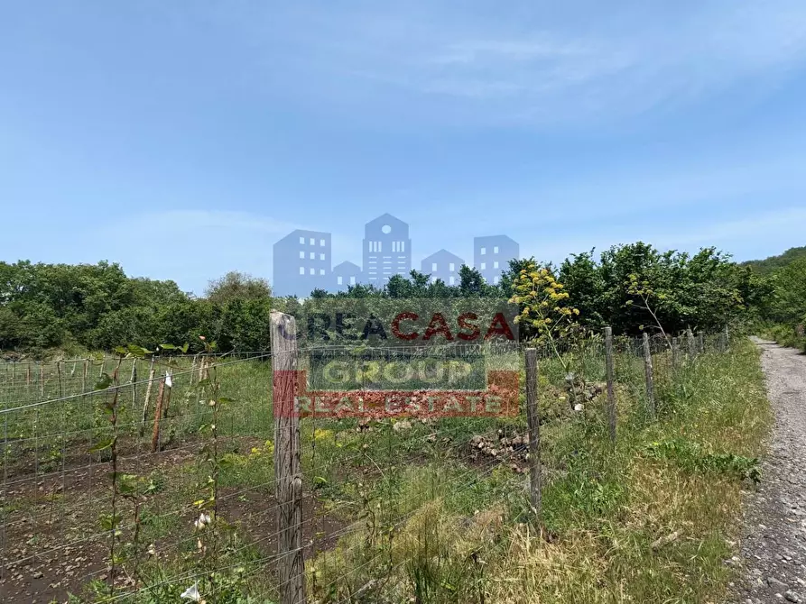 Immagine 5 di Terreno agricolo in vendita  in c.da Cerro a Castiglione Di Sicilia
