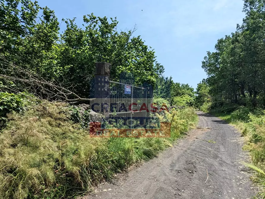 Immagine 9 di Terreno agricolo in vendita  in c.da Cerro a Castiglione Di Sicilia