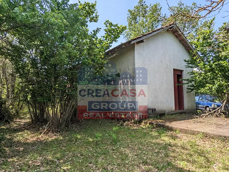 Immagine 20 di Terreno agricolo in vendita  in c.da Cerro a Castiglione Di Sicilia