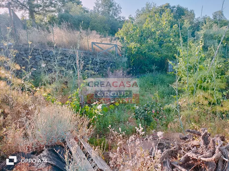 Immagine 3 di Terreno agricolo in vendita  in via chiovazzi a Piedimonte Etneo