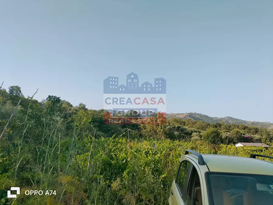 Immagine 4 di Terreno agricolo in vendita  in via chiovazzi a Piedimonte Etneo