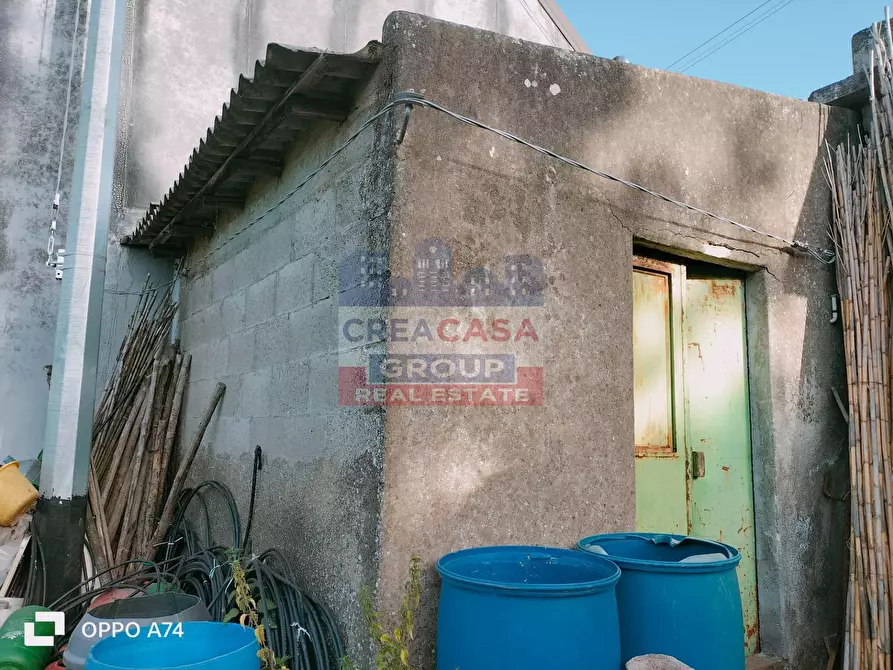 Immagine 6 di Terreno agricolo in vendita  in via chiovazzi a Piedimonte Etneo