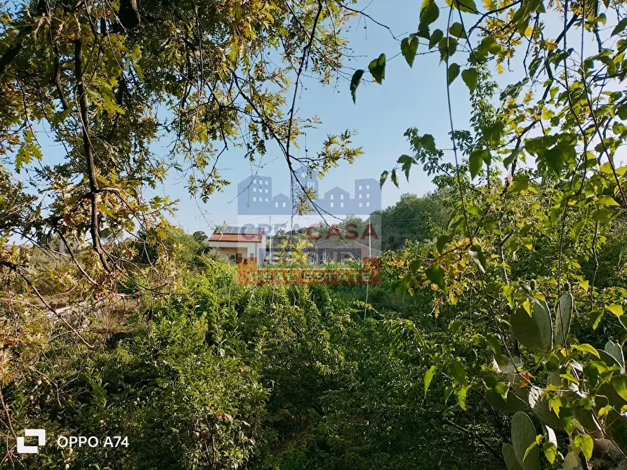 Immagine 11 di Terreno agricolo in vendita  in via chiovazzi a Piedimonte Etneo