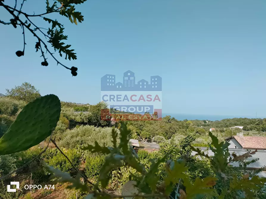 Immagine 9 di Terreno agricolo in vendita  in via chiovazzi a Piedimonte Etneo