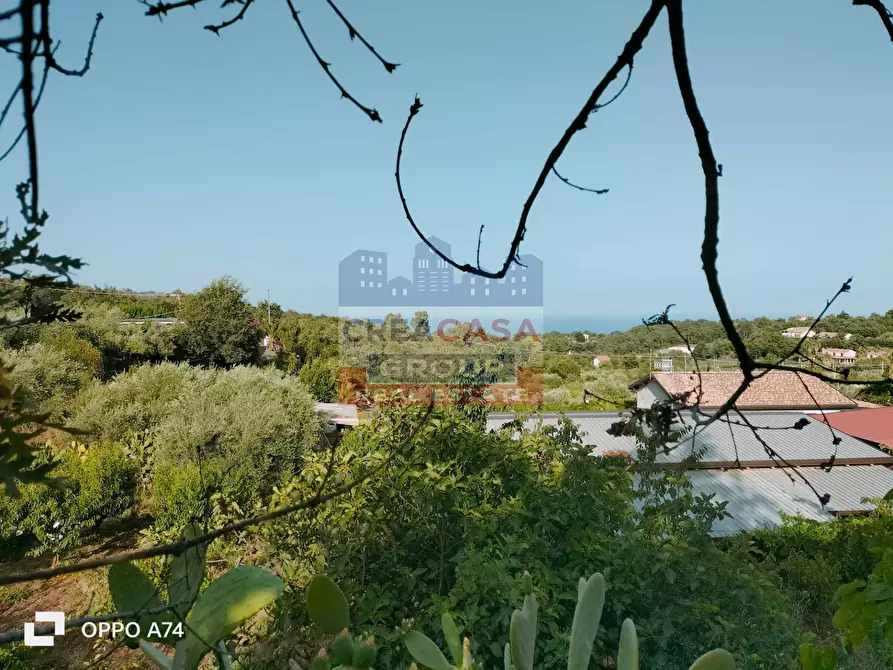 Immagine 10 di Terreno agricolo in vendita  in via chiovazzi a Piedimonte Etneo