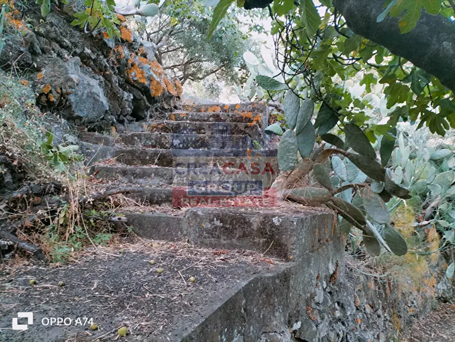 Immagine 14 di Terreno agricolo in vendita  in via chiovazzi a Piedimonte Etneo