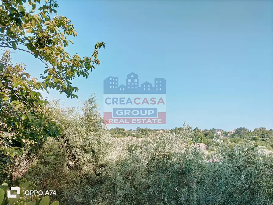 Immagine 2 di Terreno agricolo in vendita  in via chiovazzi a Piedimonte Etneo