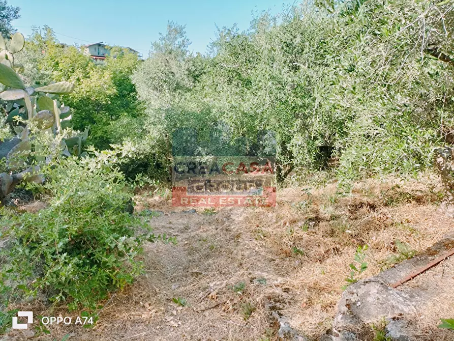 Immagine 16 di Terreno agricolo in vendita  in via chiovazzi a Piedimonte Etneo
