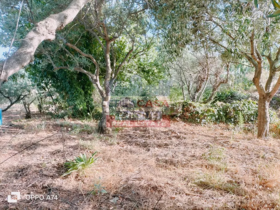 Immagine 17 di Terreno agricolo in vendita  in via chiovazzi a Piedimonte Etneo