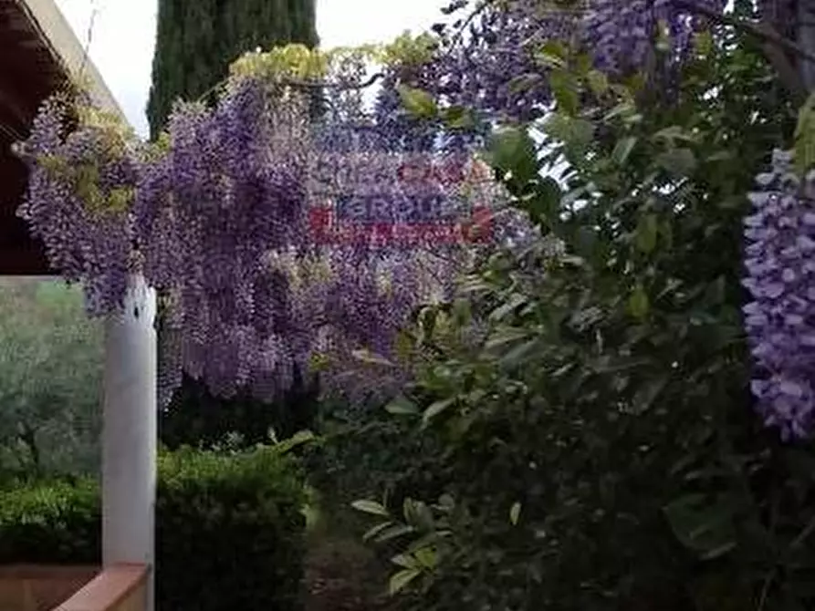 Immagine 4 di Casa indipendente in vendita  in contrada sparacio a Assoro