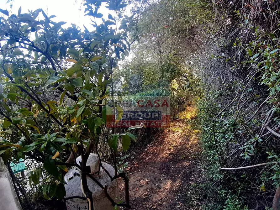 Immagine 30 di Villa in vendita  in SS185 a Graniti