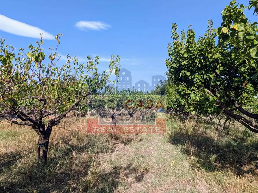 Immagine 7 di Agriturismo in vendita  in Pegno Quaderaro a Calatabiano