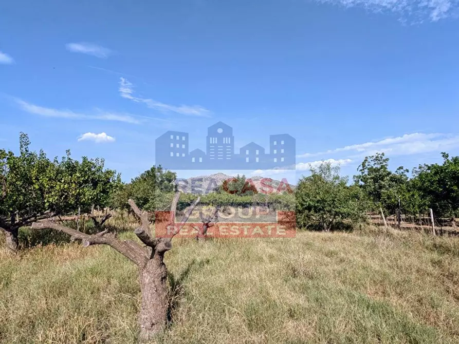 Immagine 12 di Agriturismo in vendita  in Pegno Quaderaro a Calatabiano