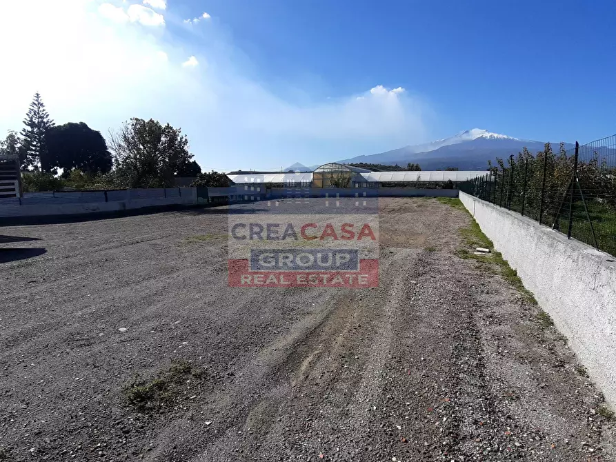 Immagine 2 di Terreno agricolo in affitto  in contrada Quaderaro a Giardini-Naxos