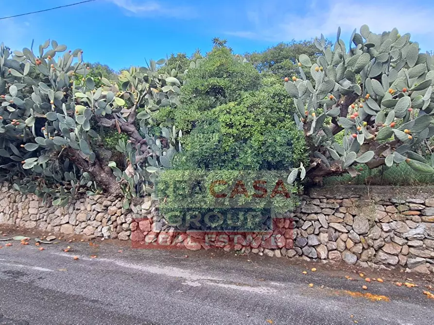 Immagine 13 di Terreno residenziale in vendita  a Graniti