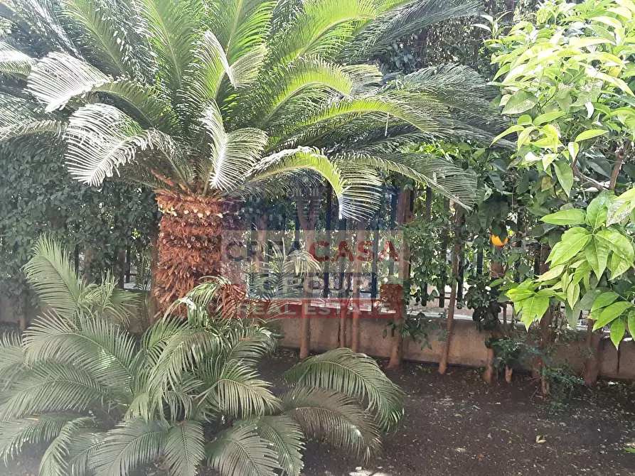 Immagine 19 di Appartamento in affitto  a Giardini-Naxos