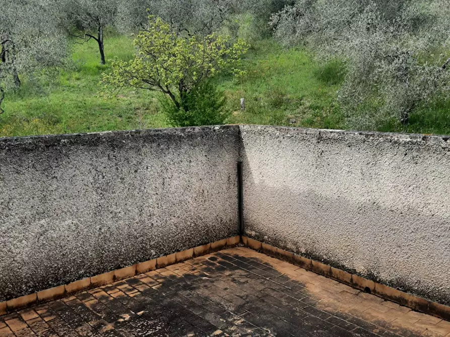 Immagine 28 di Villa in vendita  in Vocabolo Cipresso a Giove