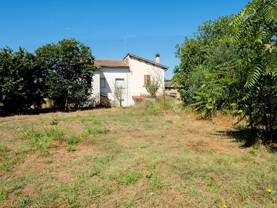 Immagine 1 di Terreno residenziale in vendita  in Via Tevere a Attigliano