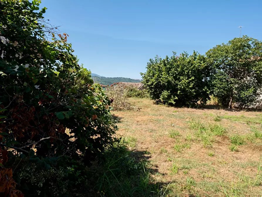 Immagine 2 di Terreno residenziale in vendita  in Via Tevere a Attigliano