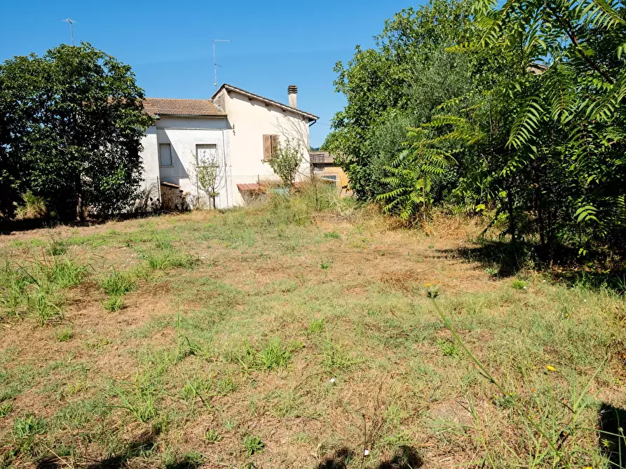 Immagine 3 di Terreno residenziale in vendita  in Via Tevere a Attigliano