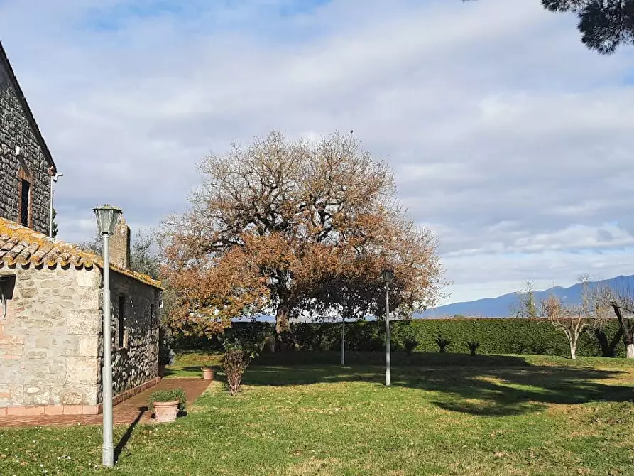 Immagine 4 di Villa in vendita  in Sipicciano - Loc. Arciano a Graffignano