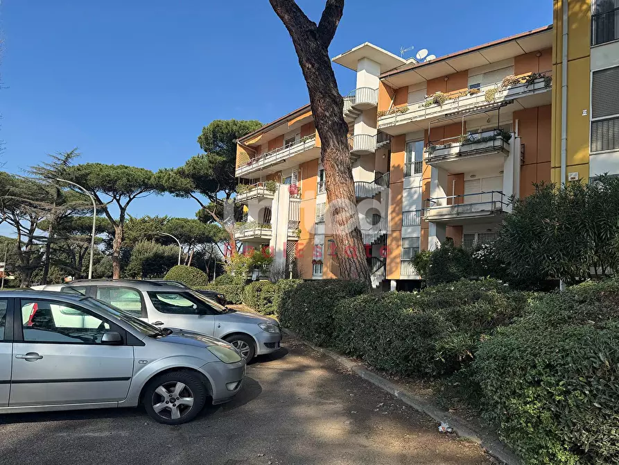 Immagine 23 di Appartamento in vendita  in Via Evemero a Roma