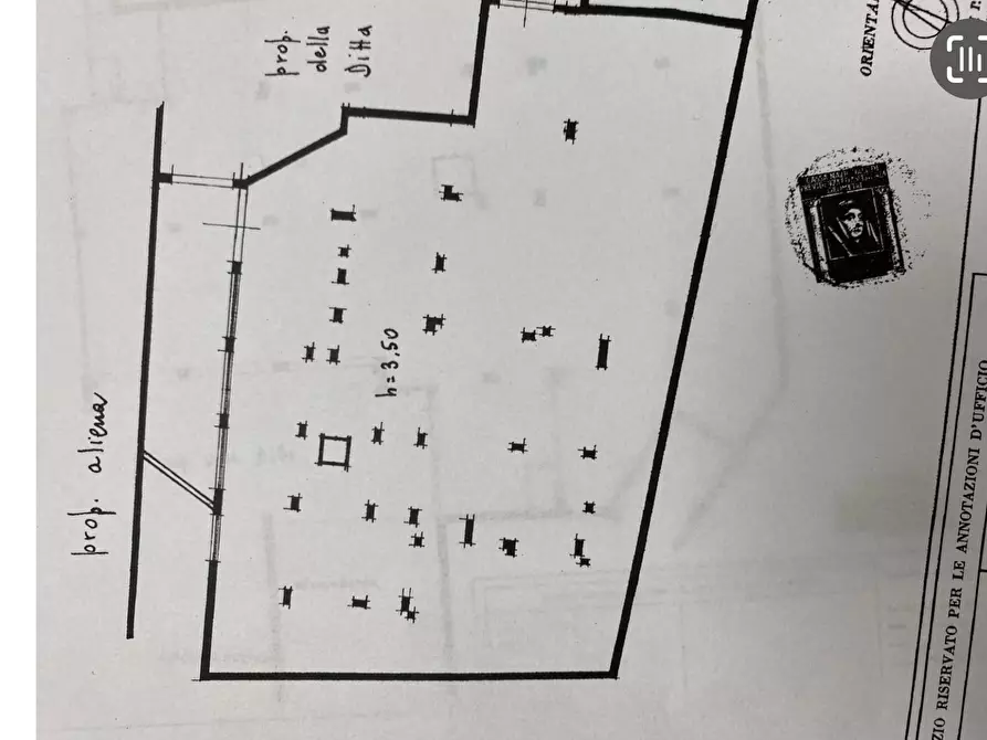 Immagine 9 di Magazzino in affitto  in Via Aurelio f. Di Bella a Palermo