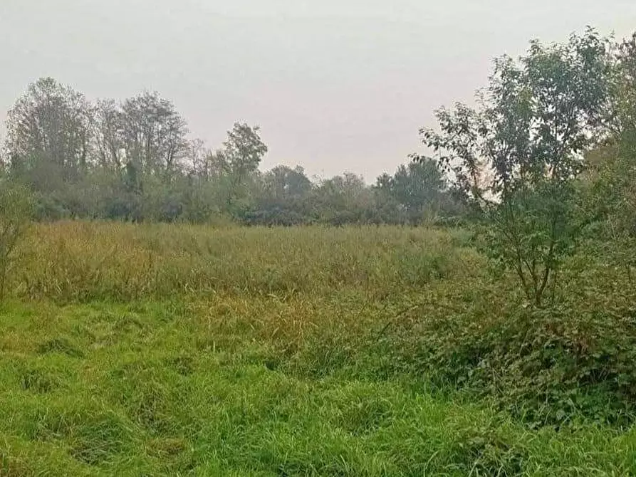 Immagine 1 di Terreno agricolo in vendita  a Cassano D'adda