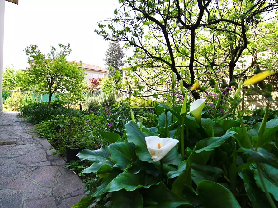 Immagine 24 di Villa in vendita  in via enrico toti a Agrate Brianza