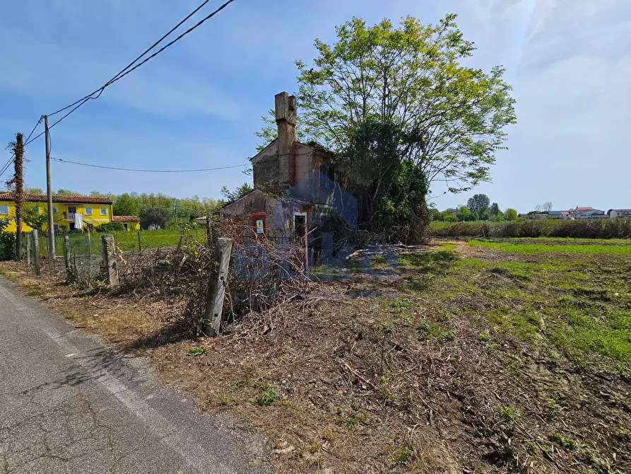 Immagine 7 di Rustico / casale in vendita  a San Donà Di Piave
