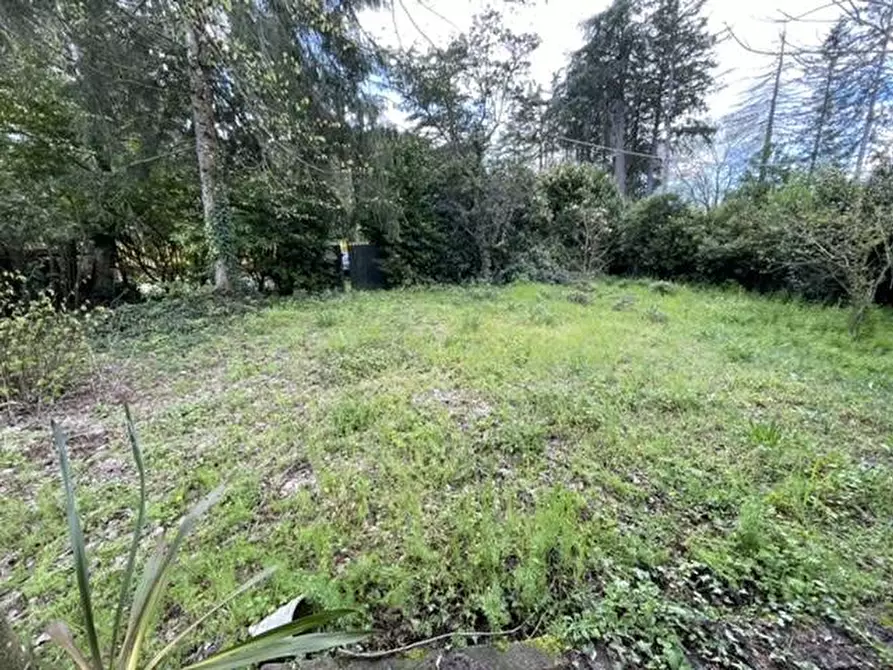 Immagine 7 di Villa in vendita  in Localià Lido dei Pioppi a Ronciglione