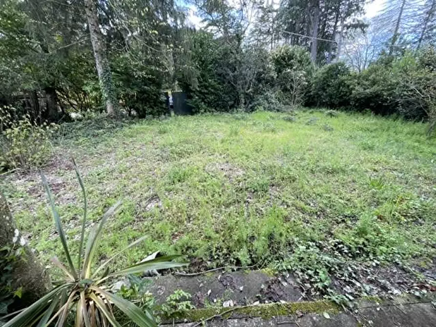 Immagine 8 di Villa in vendita  in Localià Lido dei Pioppi a Ronciglione